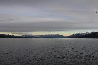 Draufklicken um die Galerie zu betreten